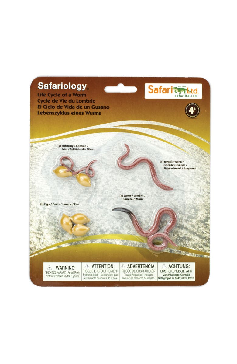 Safari Ltd. Life Cycle Of A Worm, Main, color, NO COLOR