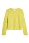 selected Chartreuse