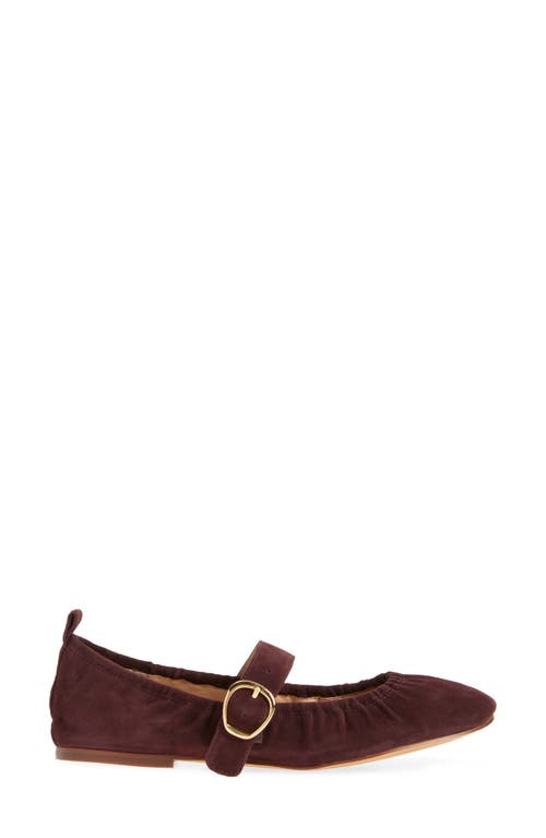 Dolce Vita Caely Mary Jane Flat In Purple