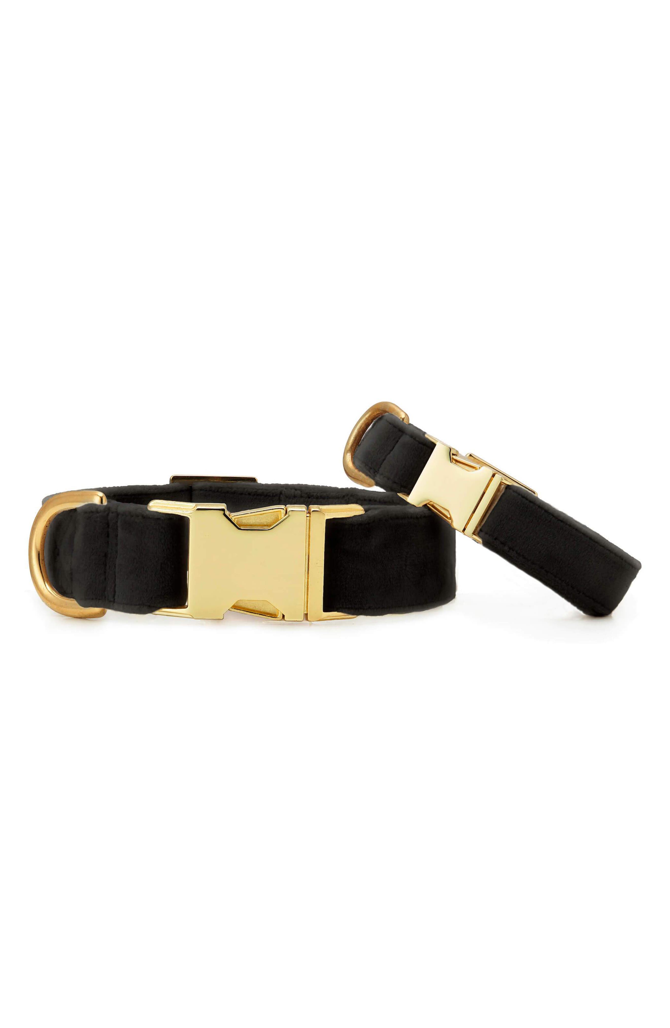 The Foggy Dog Velvet Dog Collar in Black at Nordstrom, Size Small
