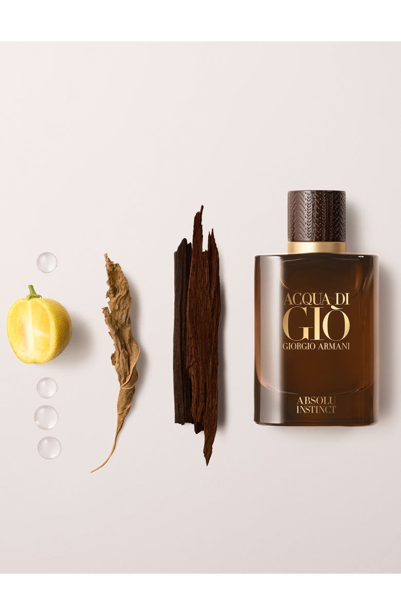 ARMANI beauty Acqua di Giò Absolu Instinct Eau de Parfum, Alternate, color, 