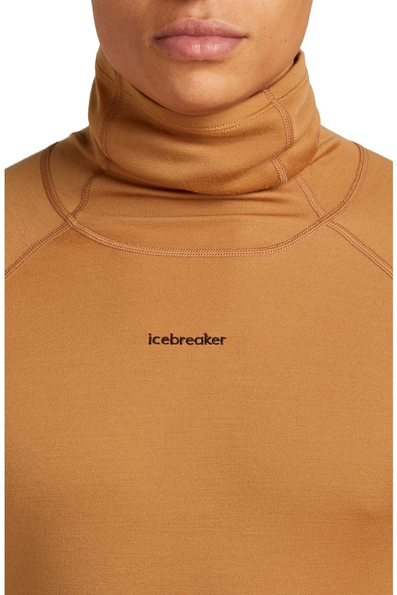300 Polar MerinoFine Turtleneck Top, Alternate, color, TRAIL