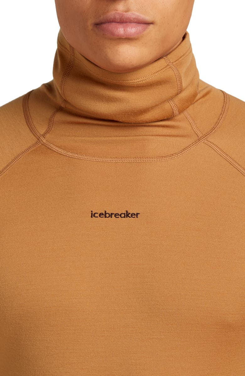 Icebreaker 300 Polar MerinoFine Turtleneck Top, Alternate, color, Trail
