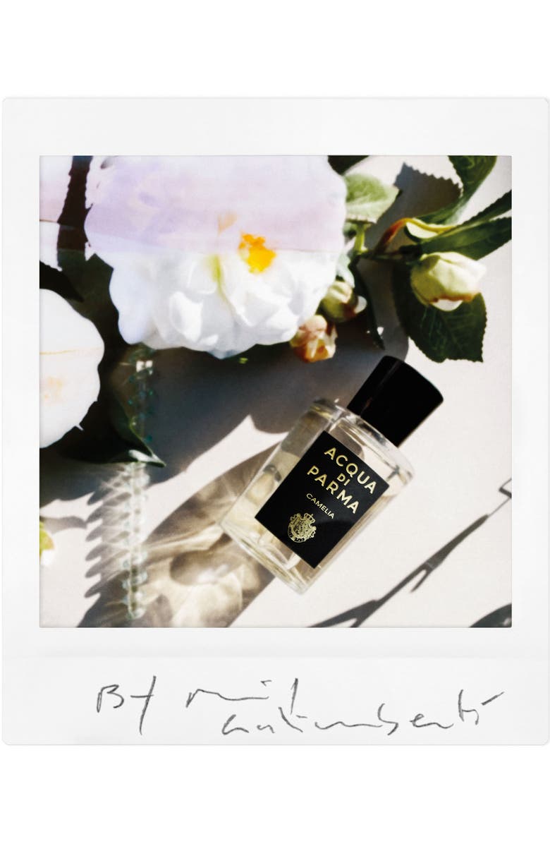 Acqua di Parma Camelia Eau de Parfum, Alternate, color, 