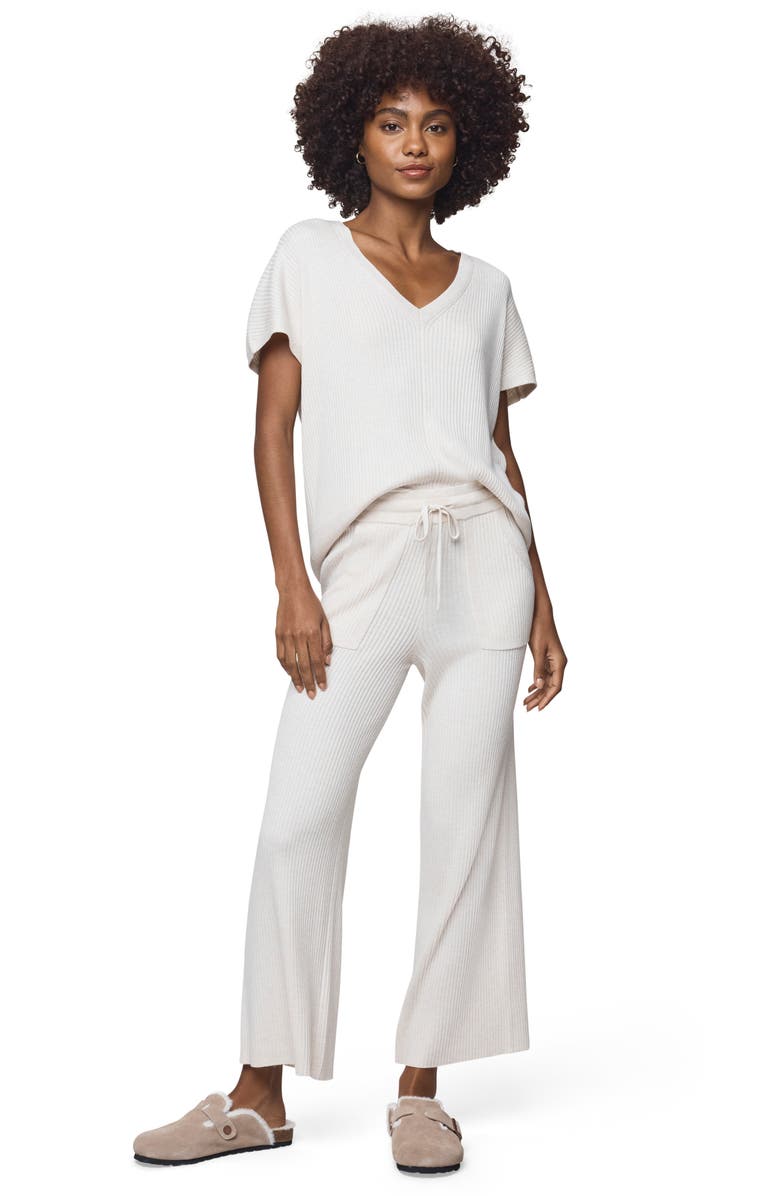 Splendid Georgie V-Neck Short Sleeve Rib Sweater, Alternate, color, Pale Oak Heather