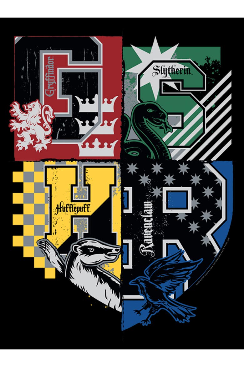 Men's Harry Potter House Crests Shield  Graphic T-Shirt, Alternate, color, Black
