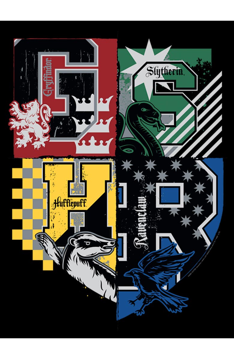 HARRY POTTER Men's Harry Potter House Crests Shield Graphic T-Shirt, Alternate, color, Black