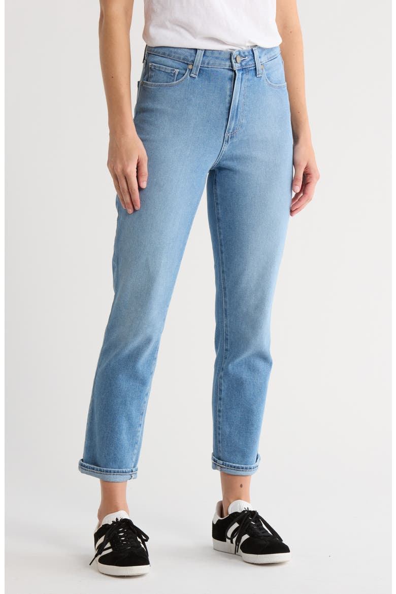 Brigitte High Waist Crop Slim Boyfriend Jeans, Main, color, FAITH