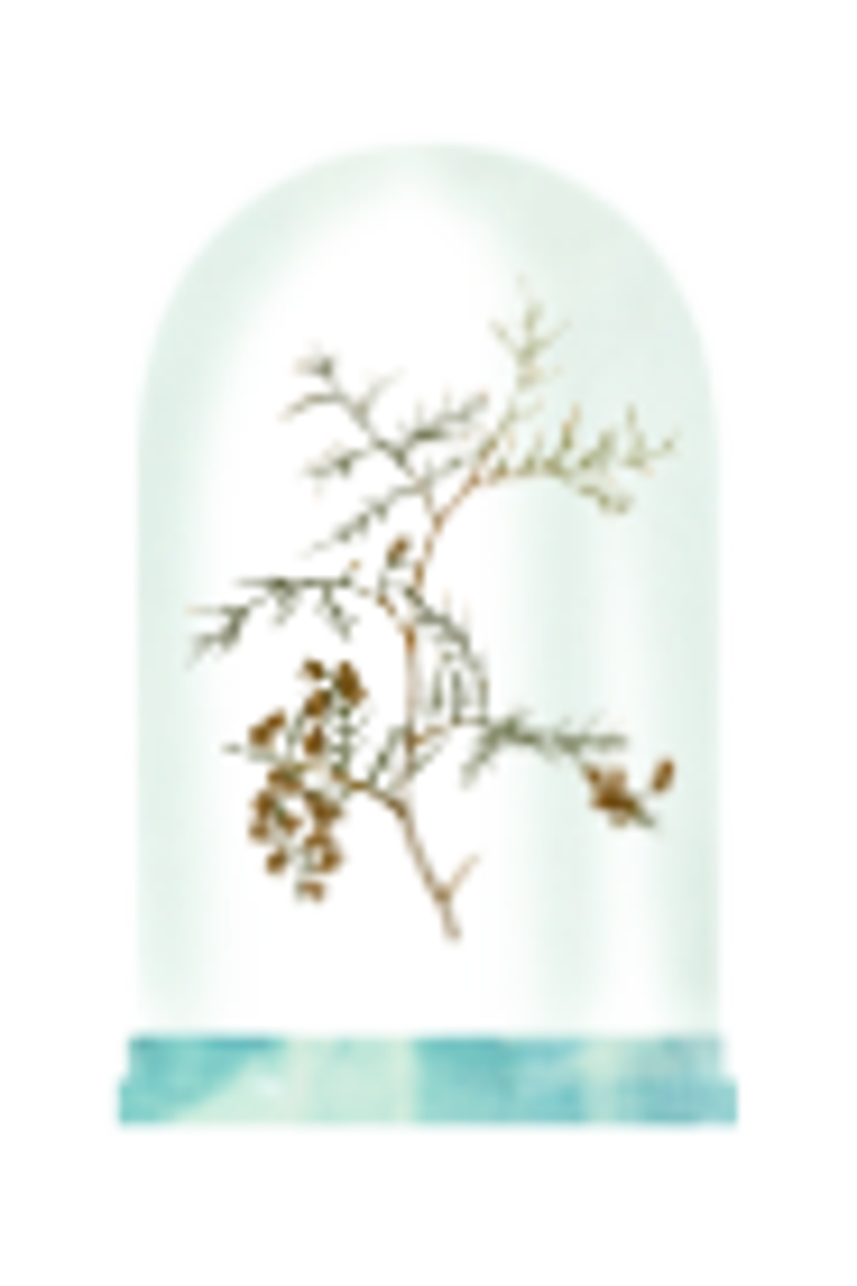 Infusão Botânica Eau de Parfum, Alternate, color, Clear