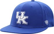 TOP OF THE WORLD Men's Top of the World Royal Kentucky Wildcats Team Color Fitted Hat