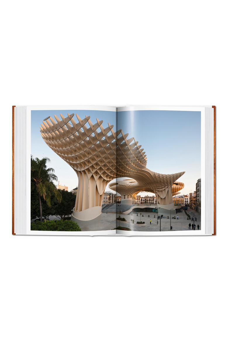100 Contemporary Wood Buildings Book, Alternate, color, Brown