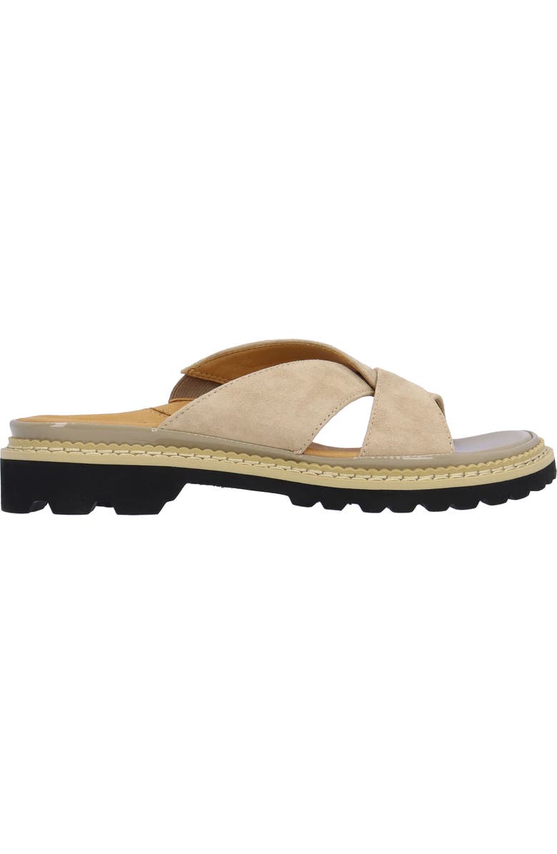L'Amour des Pieds Deryn Slide Sandal, Alternate, color, Taupe