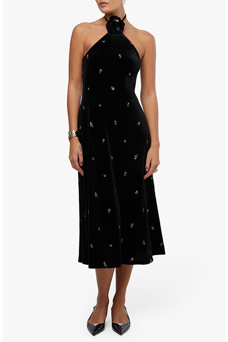 Floral Halter Velvet Midi Dress, Main, color, BLACK MULTI