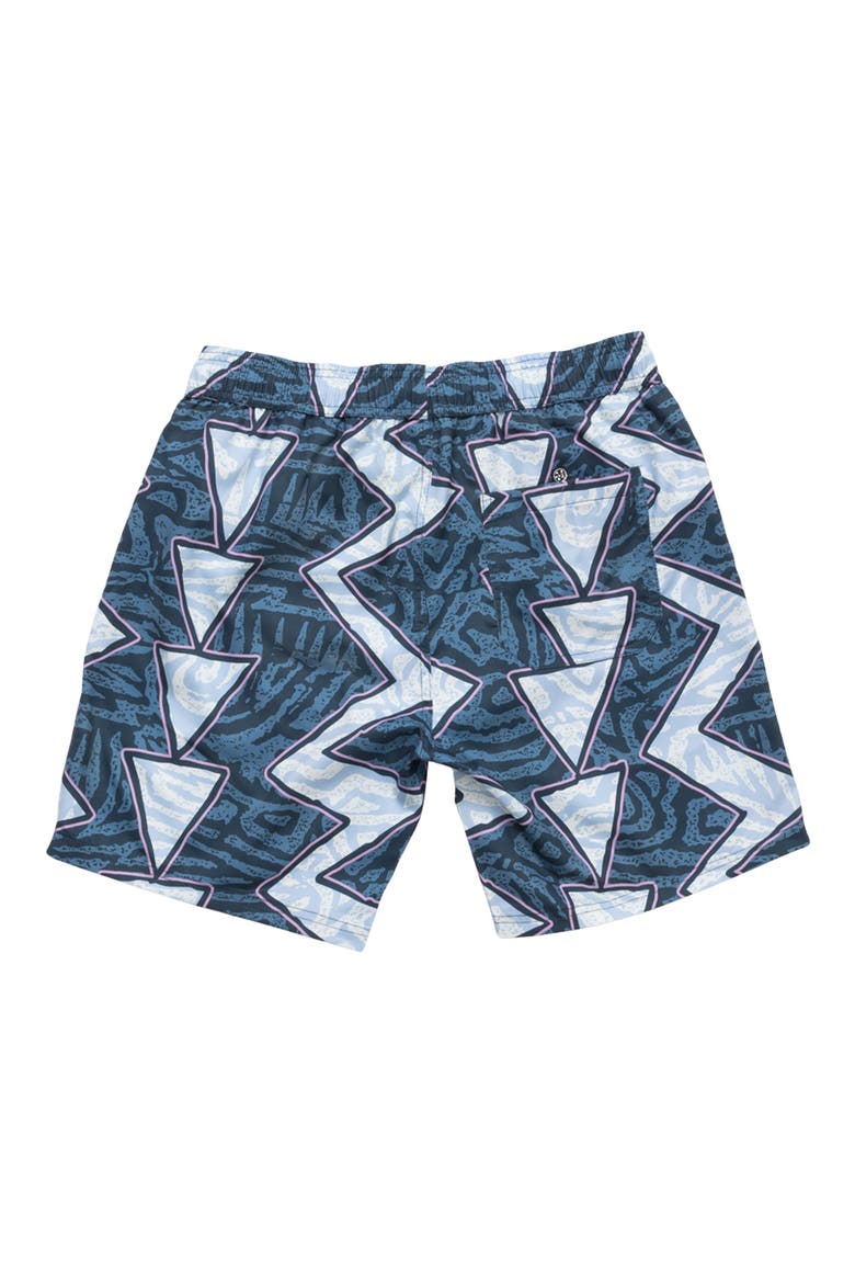 Coaster Geo Print Microfiber Swim Trunks, Alternate, color, CHARCOAL