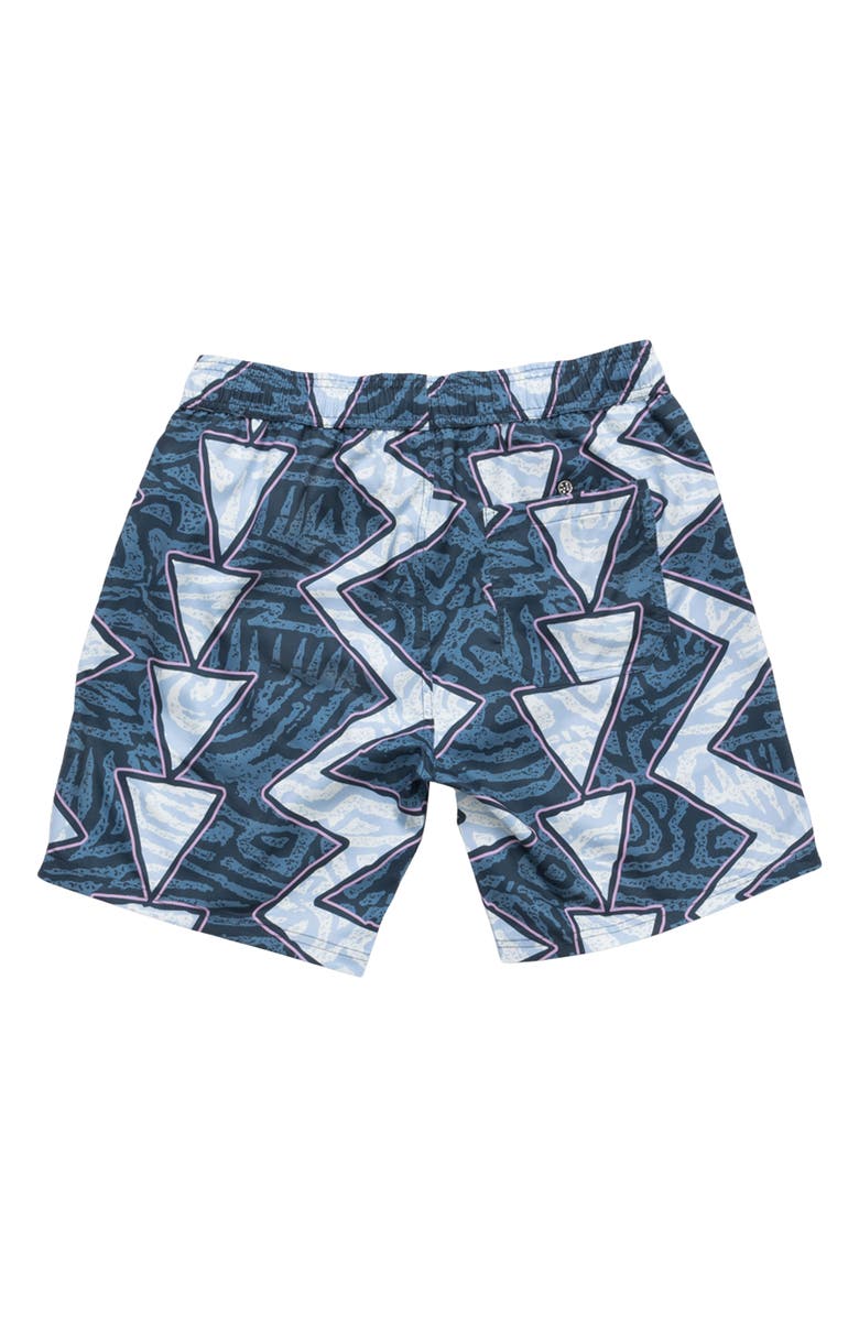 Maui & Sons Coaster Geo Print Microfiber Swim Trunks, Alternate, color, 