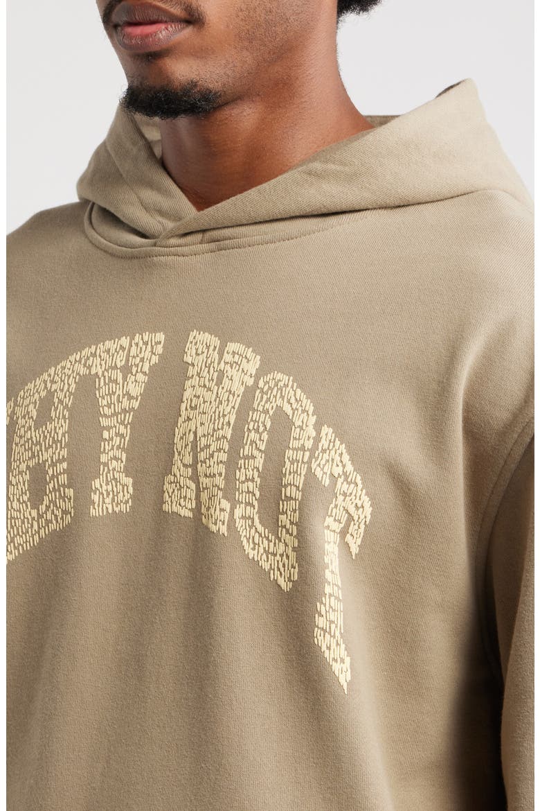 Why Not Graphic Hoodie, Alternate, color, TAUPE