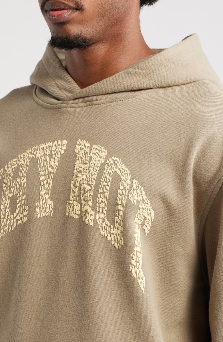 HONOR THE GIFT Why Not Graphic Hoodie, Alternate, color, Taupe