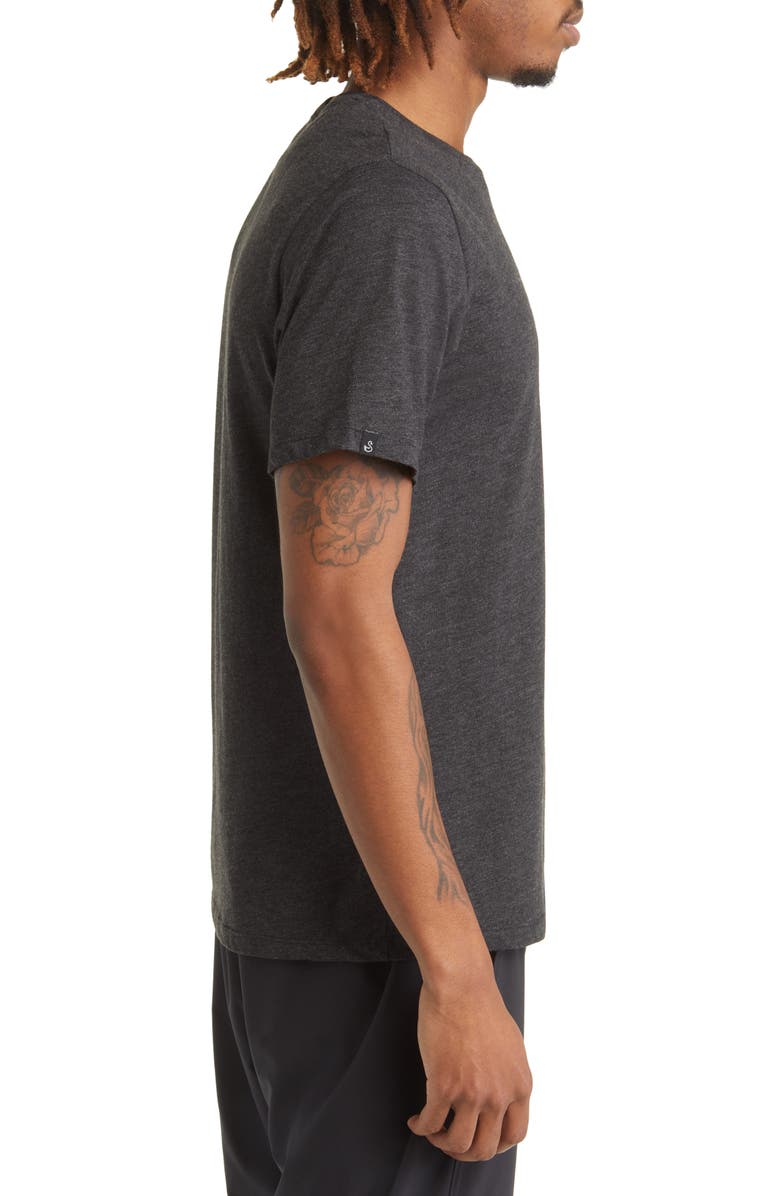 Swannies Tiger Goat Graphic Tee, Alternate, color, 