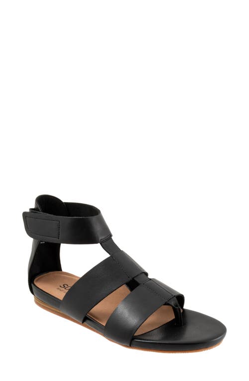 Softwalk ® Cabo Gladiator Sandal In Black