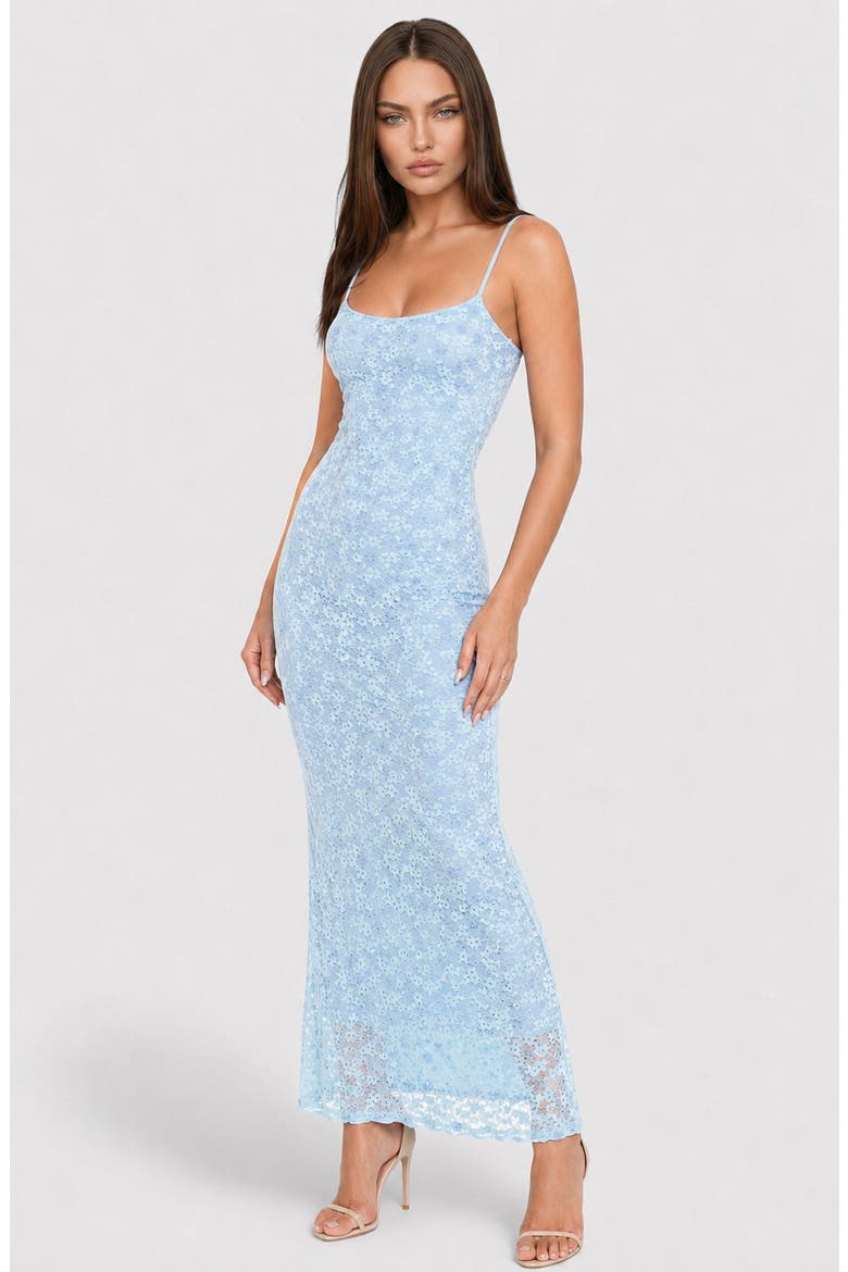 Daisy Lace Bodycon Maxi Dress, Alternate, color, BLUE
