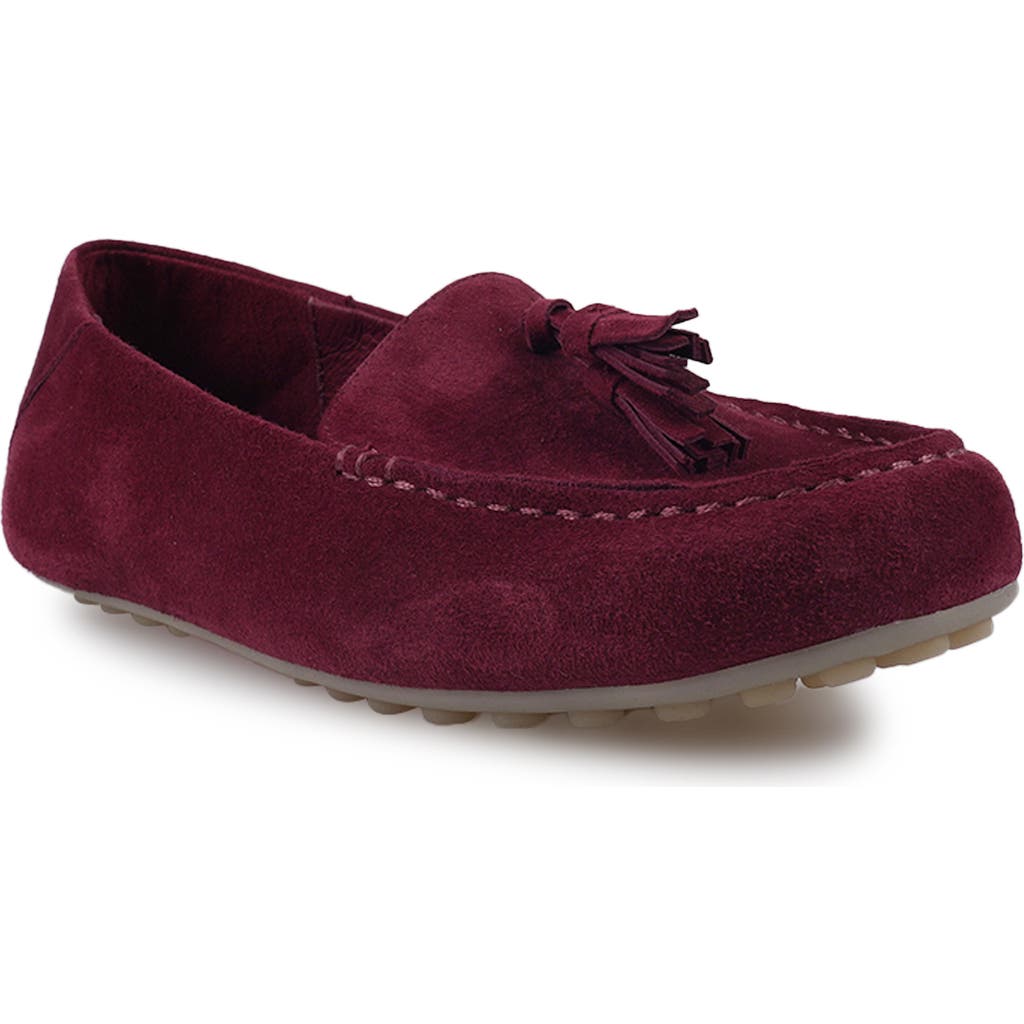 Artisan Crafted By Zigi Patsy Tassel Loafer