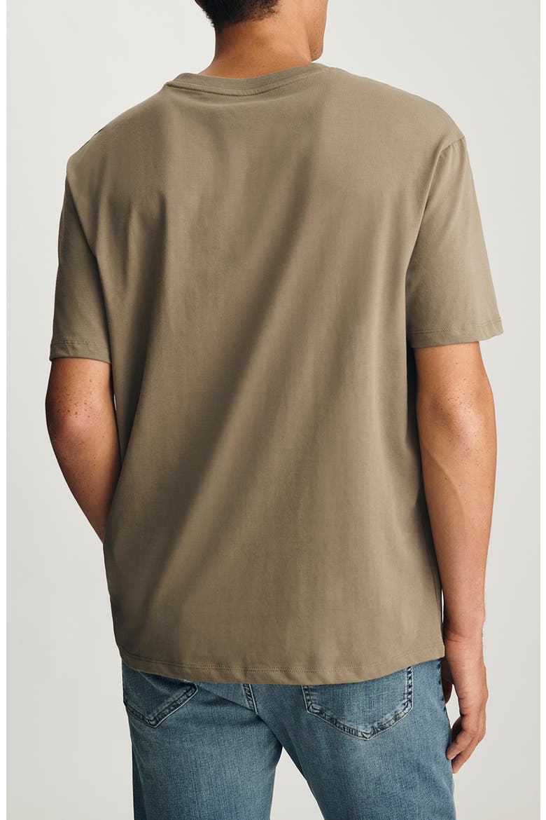 Relaxed Fit Cotton T-Shirt, Alternate, color, DUSKY GREEN