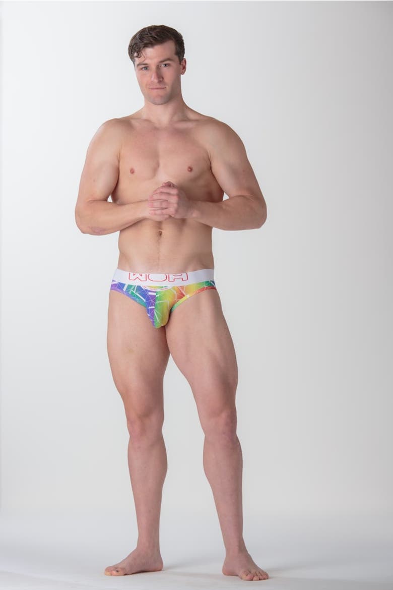 WOH Sexy Fun Mini Briefs, Alternate, color, Multico Print