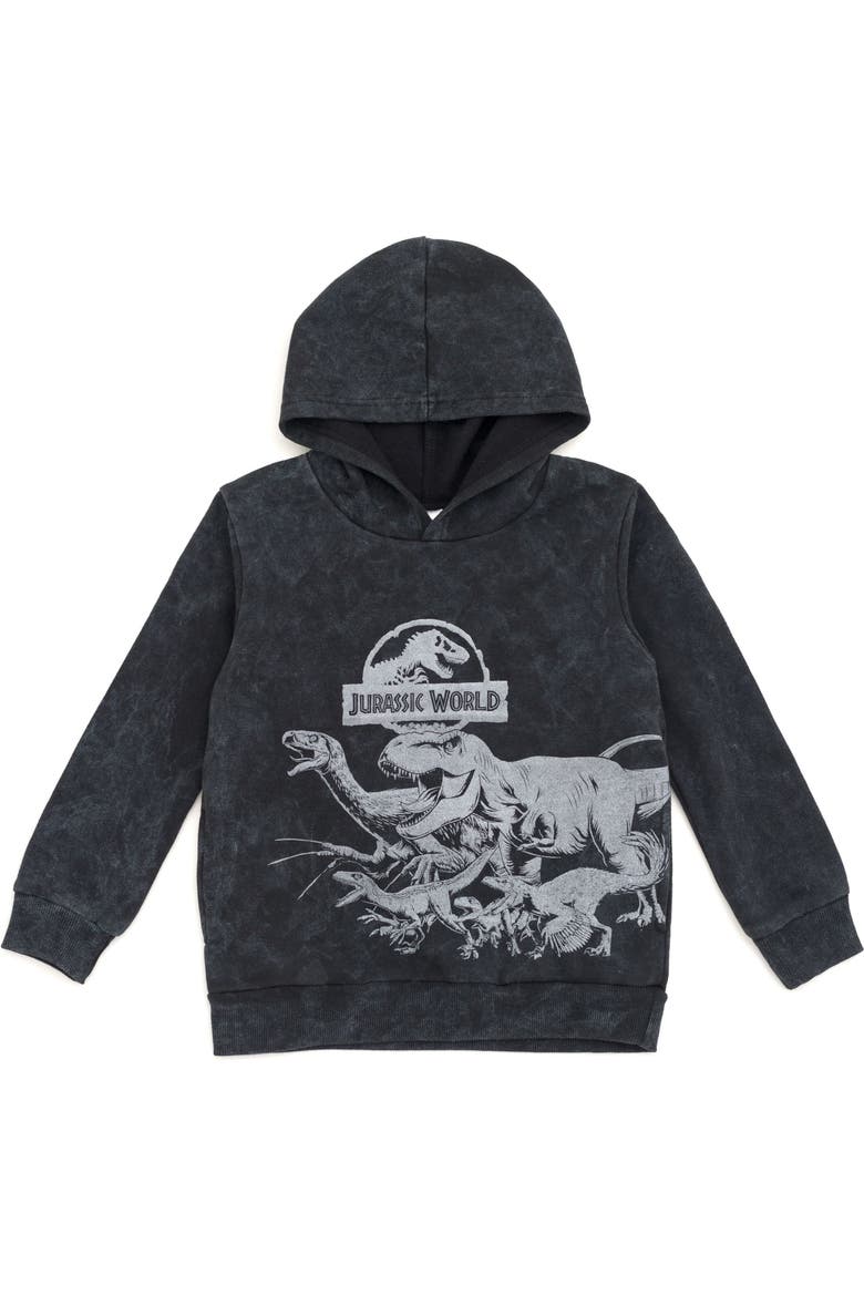 Jurassic Park Fleece Hoodie, Main, color, Mineral Wash Grey