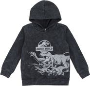 JURASSIC WORLD Jurassic Park Fleece Hoodie