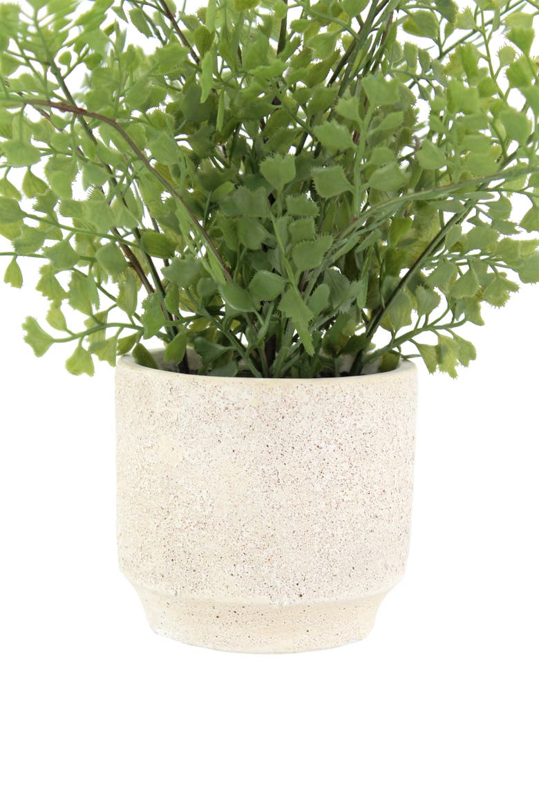 16" Faux Snake Plant and Fern Set in Cream Pot, Alternate, color, Crème