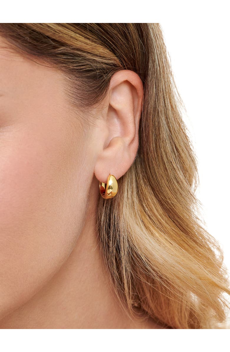 DEVATA Dome Hoop Earrings in Gold Plated Sterling Silver, Alternate, color, Yellow Gold