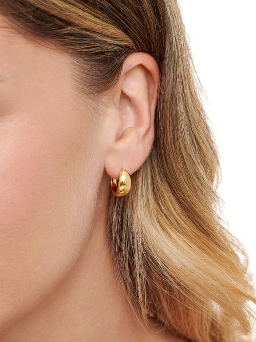 Devata Dome Hoop Earrings In Gold