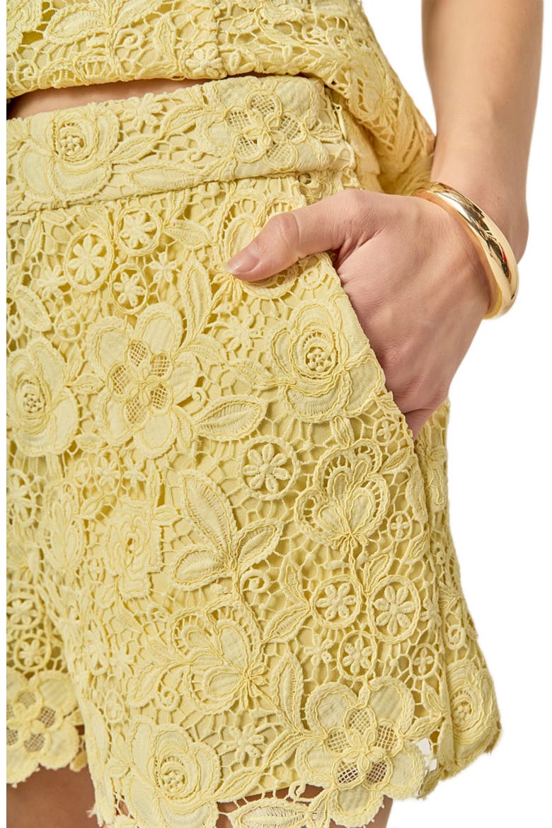 Floral lace Shorts, Alternate, color, BUTTER YELLOW