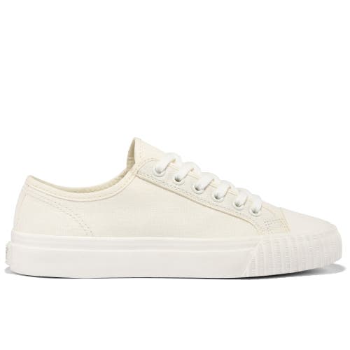 Pf Flyers P.f. Flyers Center Low-top Sneaker In Gray