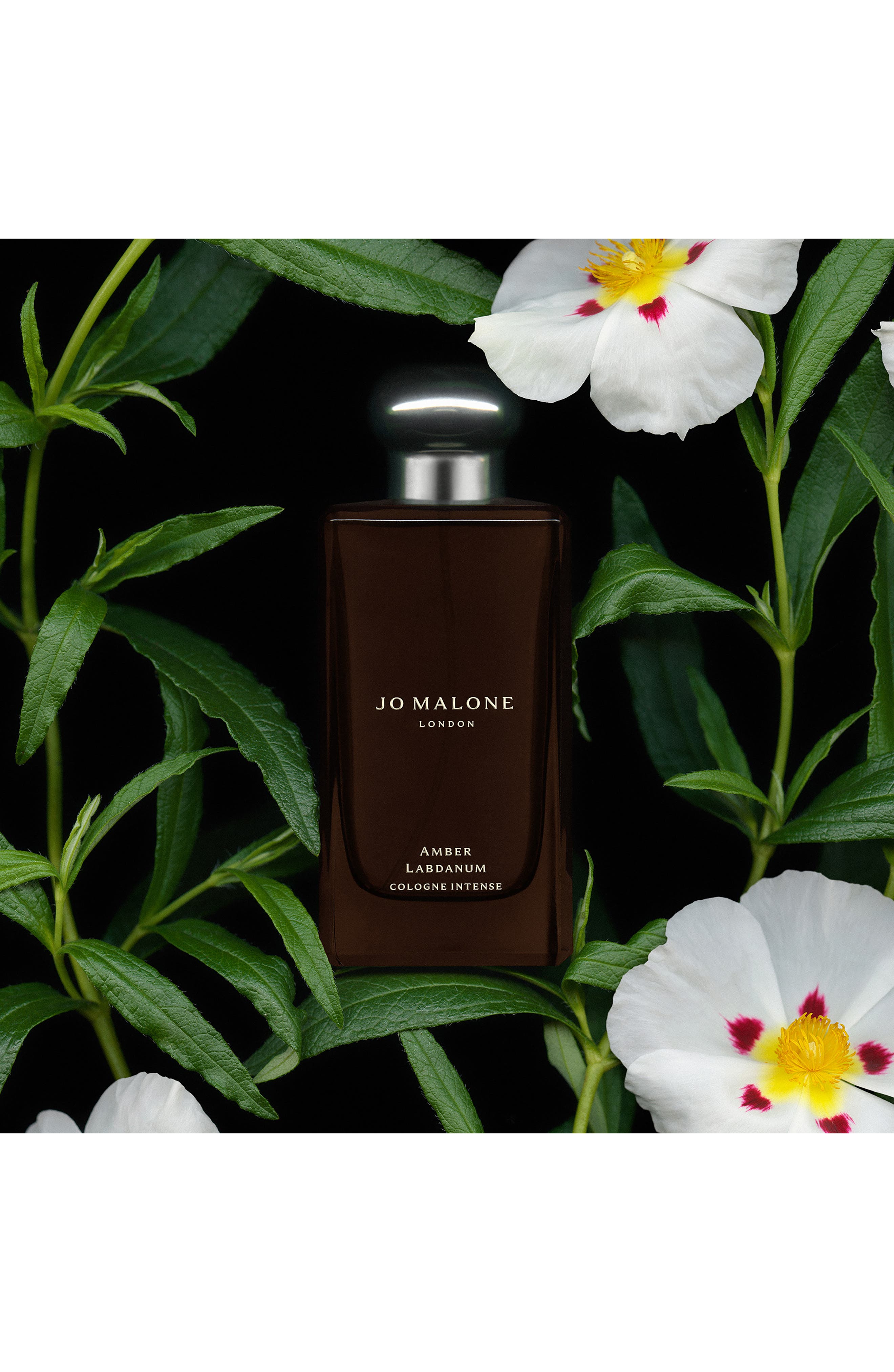 Amber Labdanum Cologne Intense (Nordstrom Exclusive) | Nordstrom
