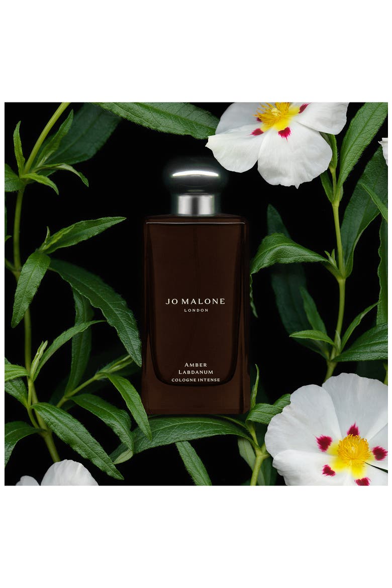 Amber Labdanum Cologne Intense (Nordstrom Exclusive), Alternate, color, NO COLOR