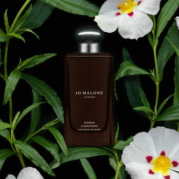 Jo Malone London™ Amber Labdanum Cologne Intense | Nordstrom