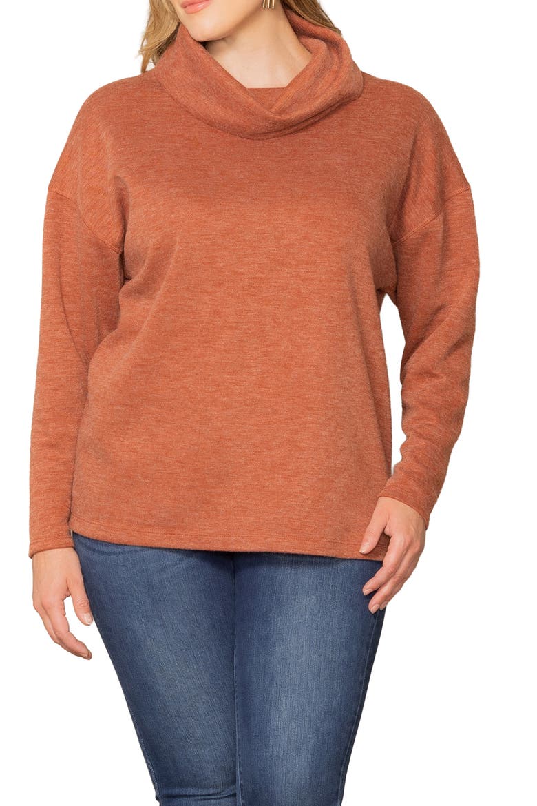 Astrid Turtleneck Sweater, Main, color, CINNAMON
