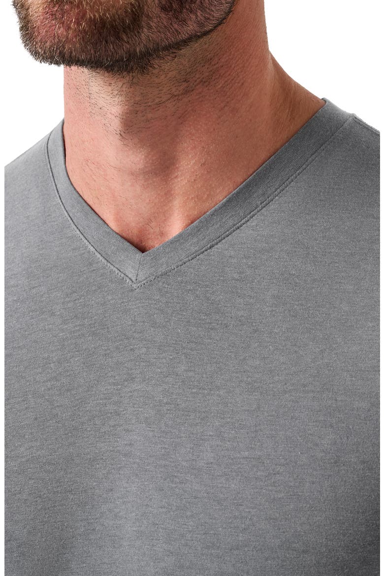 Cloud V-Neck T-Shirt, Alternate, color, LIGHT GREY
