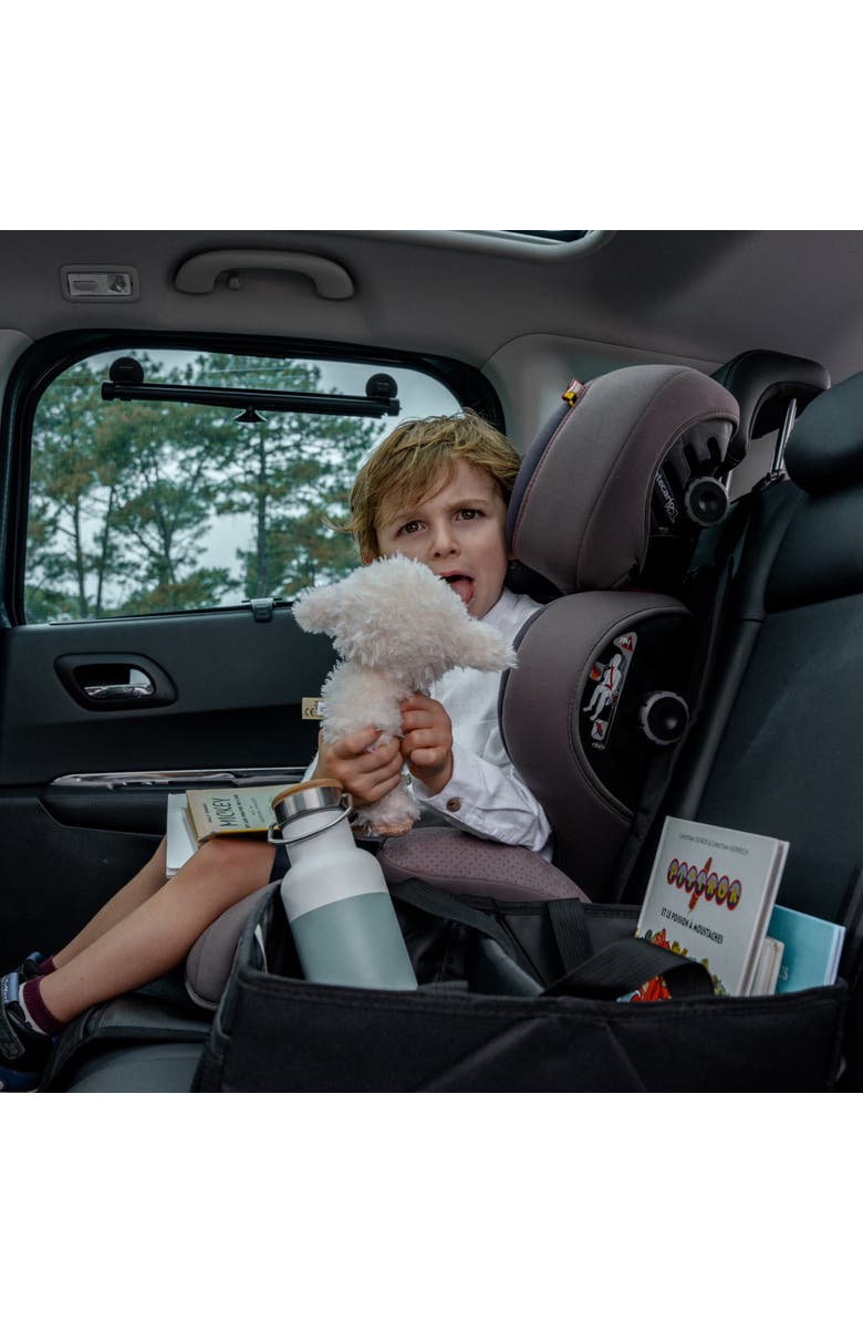 ezimoov Car Organizer Bag - Eco-friendly, Alternate, color, Black