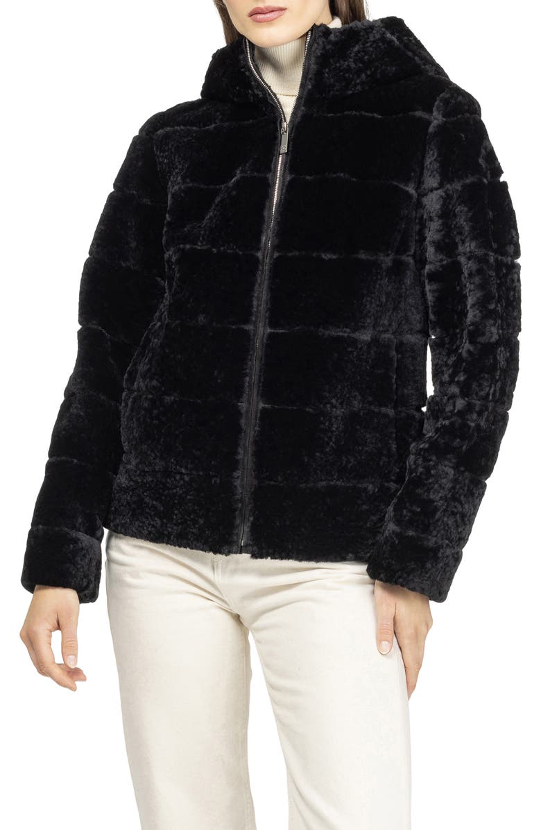 GORSKI Horizontal Genuine Shearling Zip Jacket with Hood, Alternate, color, Black