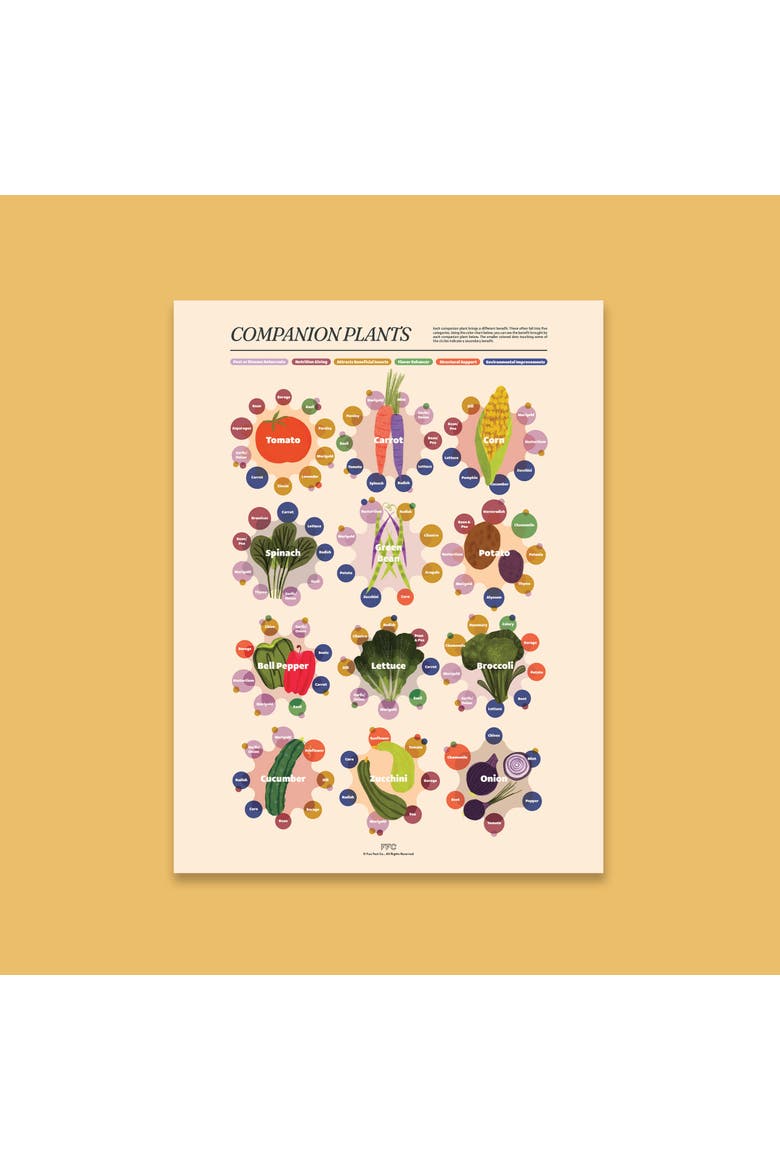 Companion Plants Giclée Print, Alternate, color, Multi