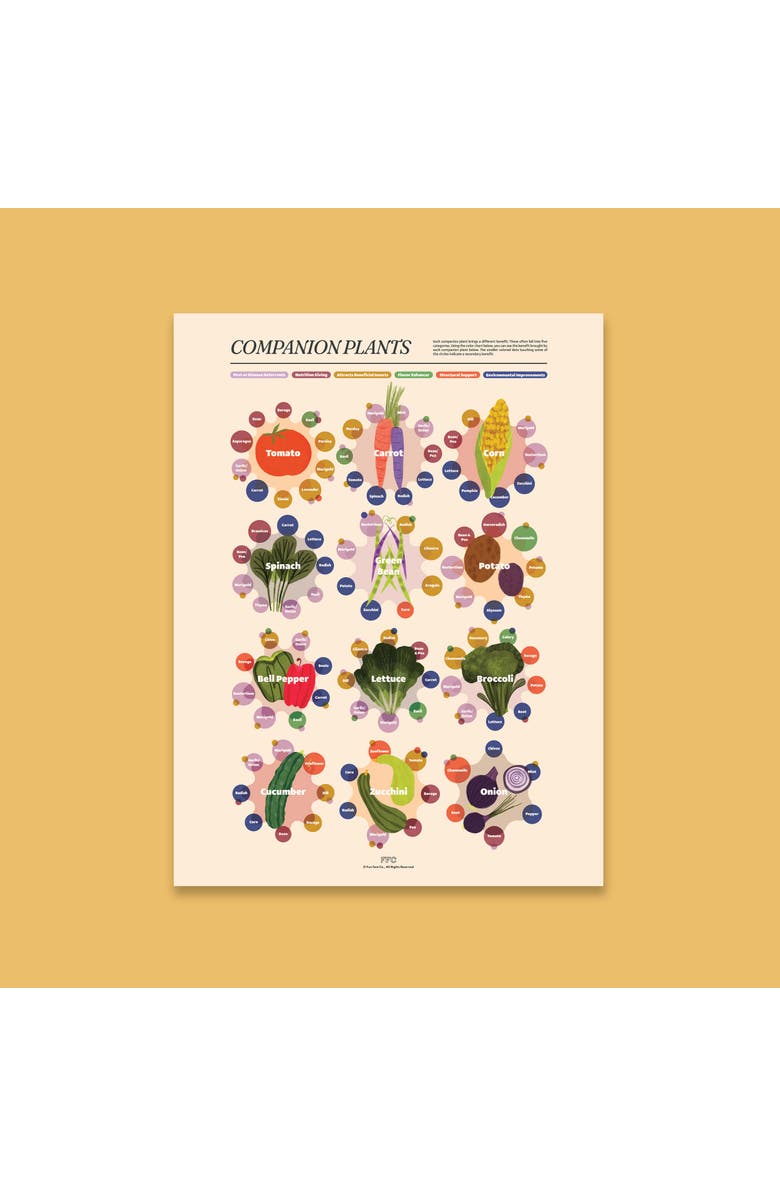 Fun Fact Co. Companion Plants Giclée Print, Alternate, color, Multi