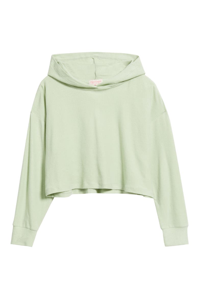 Pistachio Lily Crop Rib Hoodie, Alternate, color, PISTACHIO