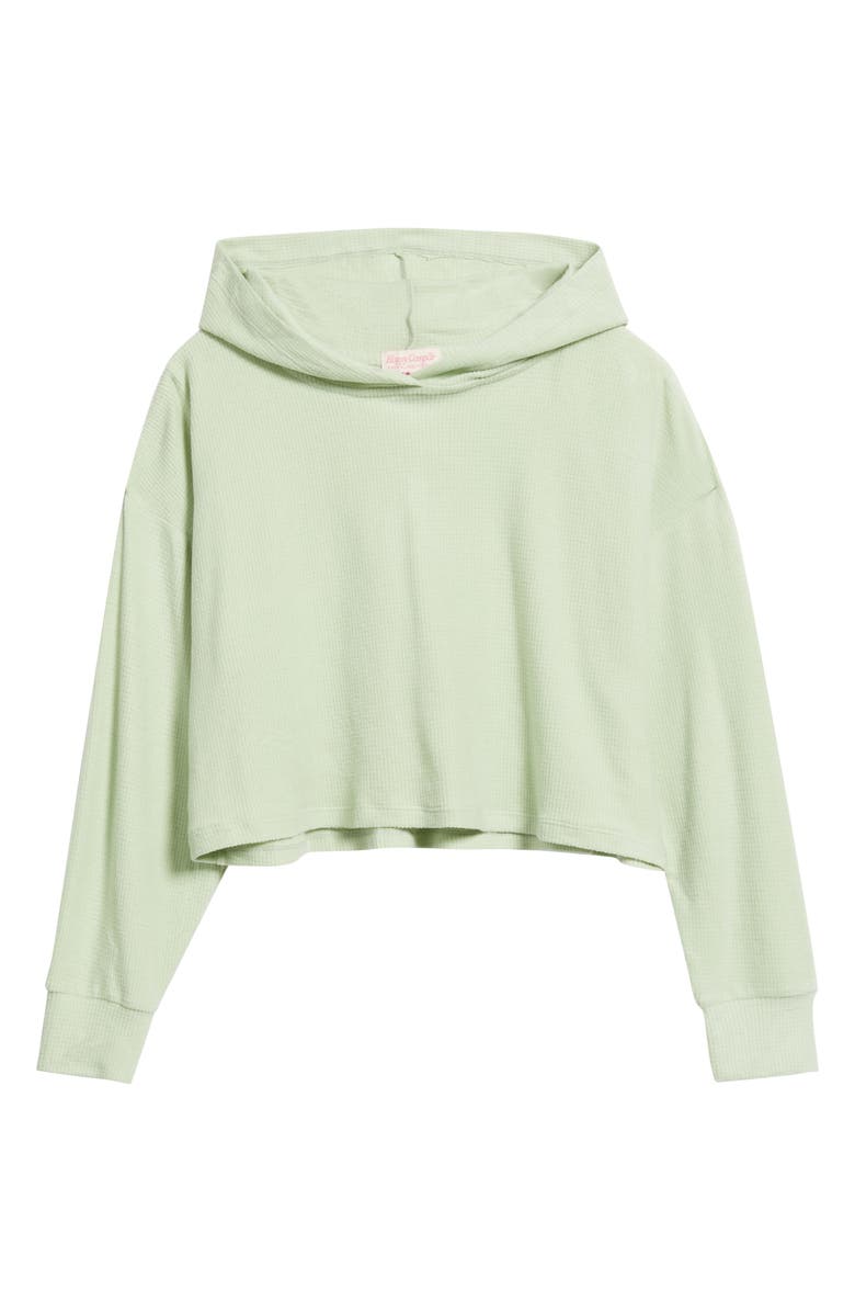 HAPPY CAMP3R Pistachio Lily Crop Rib Hoodie, Alternate, color, Pistachio