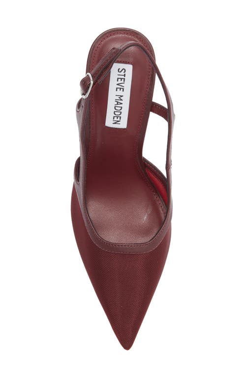 Steve Madden Scotlynn Slingback Pump In Burgundy