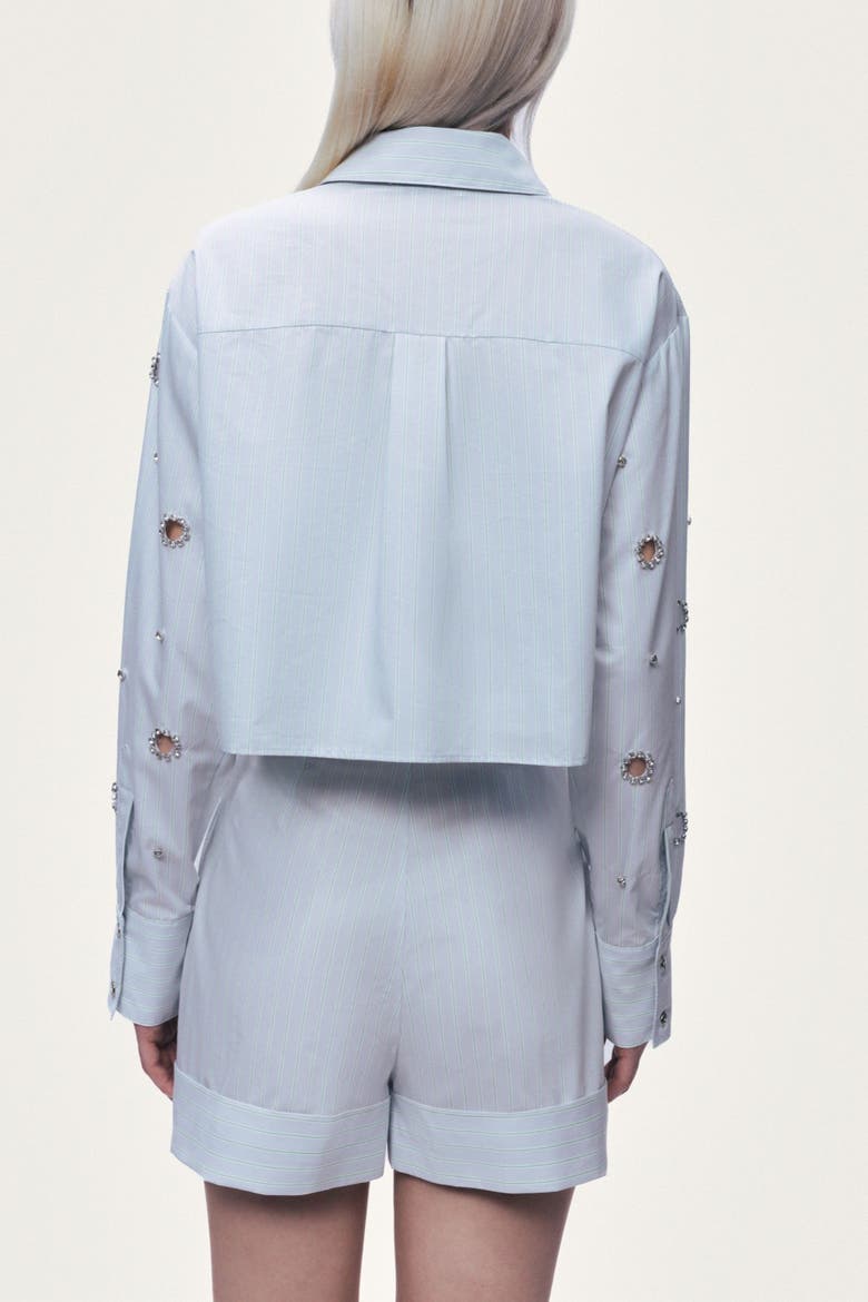 Stone Detail Crop Shirt, Alternate, color, Mint Green
