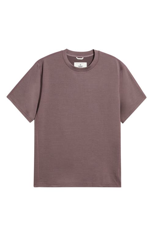 Reigning Champ Lightweight Standard T-shirt In Purple