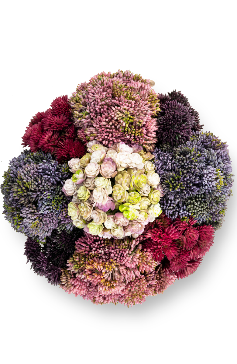 CocoBella Solene Gold Sedum Arrangement, Alternate, color, Multi-Color