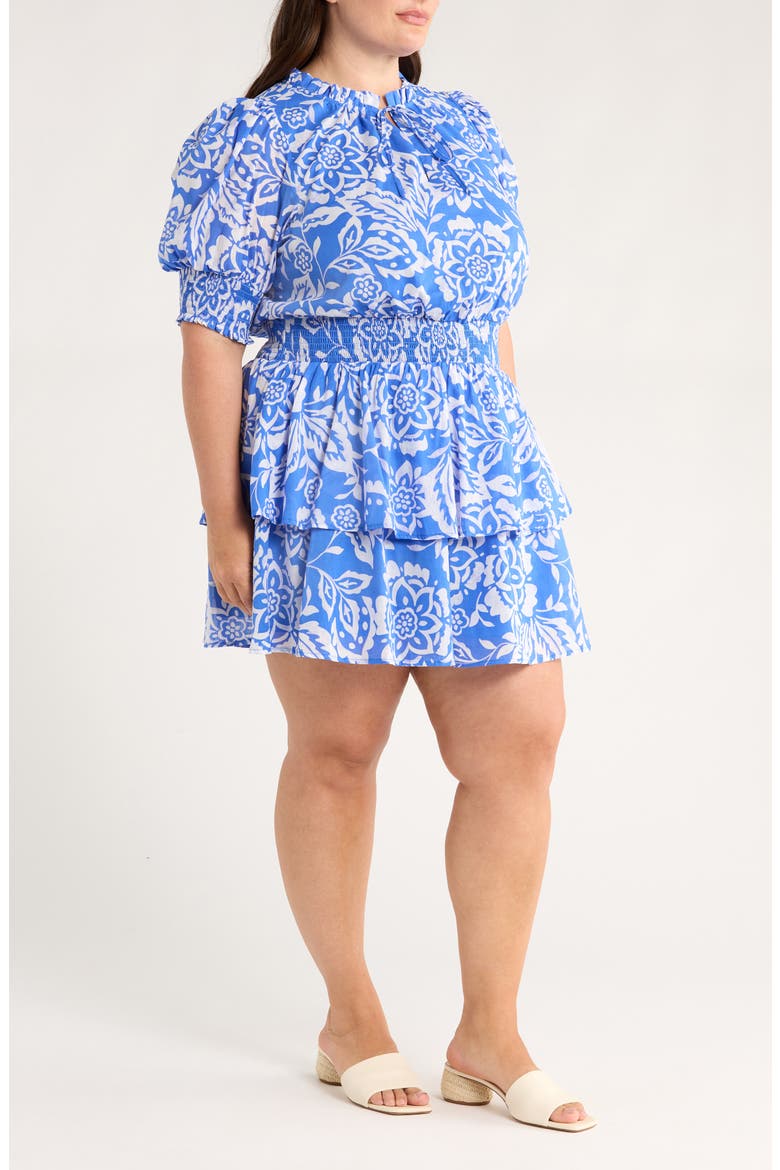 Marny Floral Rai Ruffle Cotton Dress, Alternate, color, BLUE/ WHITE